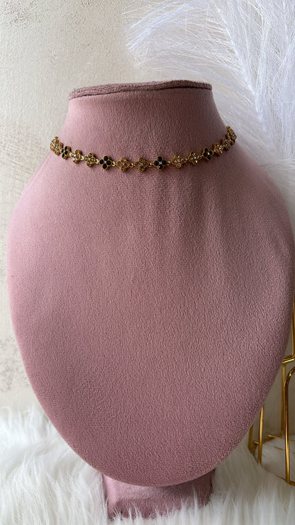 Collana inspired color